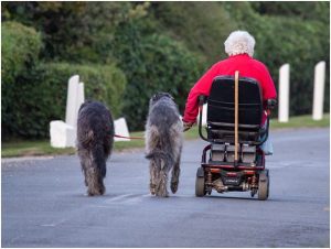 Scooters Seniors