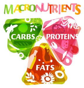 Main food groups - macronutrients
