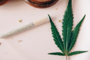 7 Reasons why you need to try out the Delta 8 flower immediately