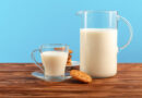 Different Recipes To Add Fresh Camel Milk To Your Diet 